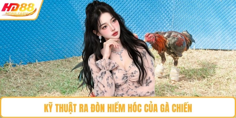 Kỹ thuật ra đòn hiểm hóc của gà chiến